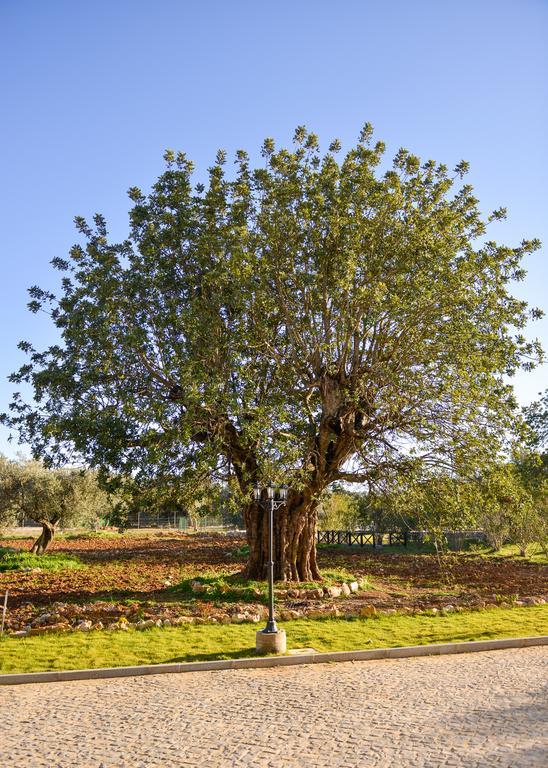 Quinta Dos Tesouros Villa Sao Bras de Alportel Ngoại thất bức ảnh
